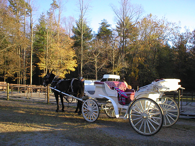cades cove carriage ride
